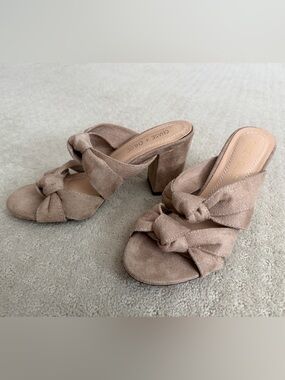 Chase + Chloe Taupe Knot-Front Suede Block Heel Mules